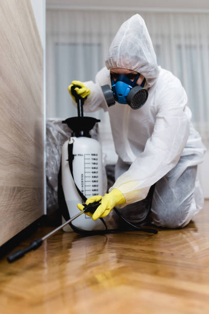 Best Pest Prevention Services  in Fredonia, AZ